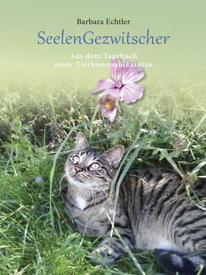cover image of Seelengezwitscher